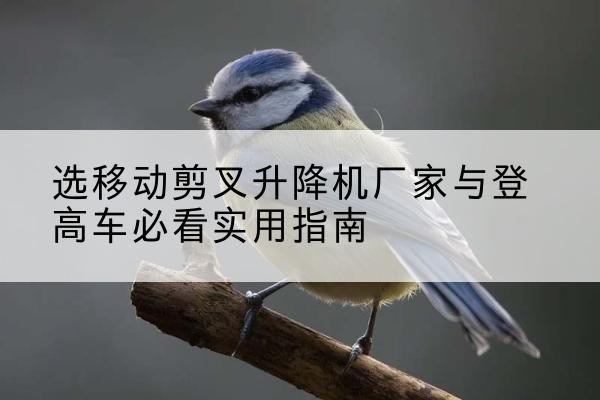 玉环电动升降机厂家-选移动剪叉升降机厂家与登高车必看实用指南