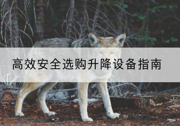 玉环升降货梯厂家推荐-*安全选购升降设备指南