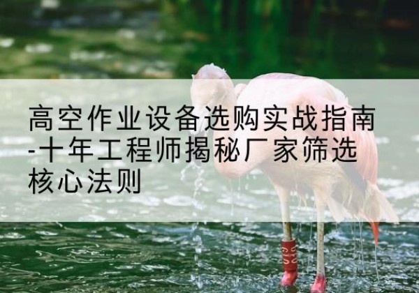 玉环剪叉式升降机厂家-高空作业设备选购实战指南-十年工程师揭秘厂家筛选核心法则